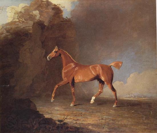 Benjamin Marshall A Golden Chestnut Racehorse by a Rock Formation With a Town Beyond Spain oil painting art